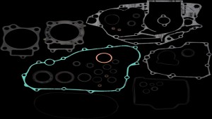 Shopping Cart, Shopping Cart