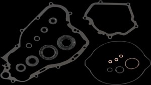 Shopping Cart, Shopping Cart