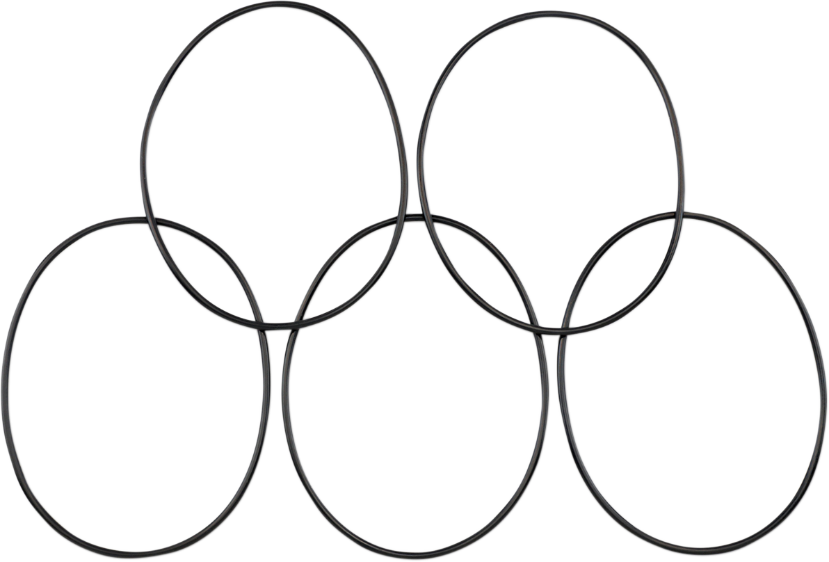 JAMES GASKET Derby Cover O-Ring