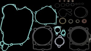 PROX GSKT ST CMP 450/5EXC 12-