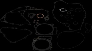 Shopping Cart, Shopping Cart