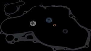 Shopping Cart, Shopping Cart