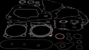 Shopping Cart, Shopping Cart