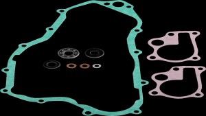 Shopping Cart, Shopping Cart