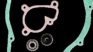 Shopping Cart, Shopping Cart