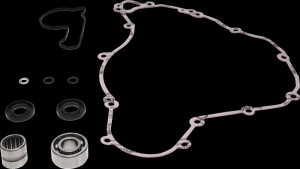 Shopping Cart, Shopping Cart