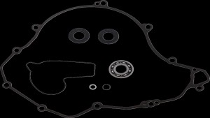 Shopping Cart, Shopping Cart