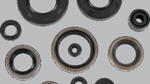 MOOSE OFFROAD Motor Oil Seals - Kawasaki