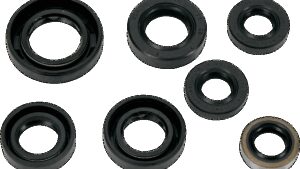 MOOSE OFFROAD Motor Oil Seals - Honda