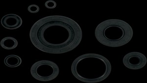 Shopping Cart, Shopping Cart