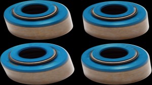 Shopping Cart, Shopping Cart