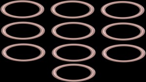 Shopping Cart, Shopping Cart