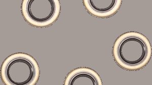 COMETIC Double Lip Seal