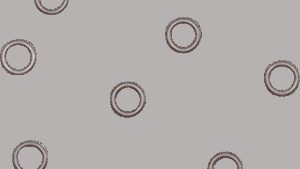 Shopping Cart, Shopping Cart