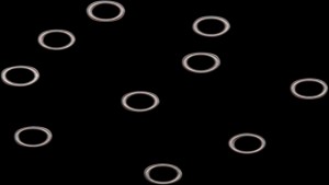 Shopping Cart, Shopping Cart