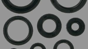 MOOSE OFFROAD Motor Oil Seals - Honda