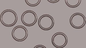 COMETIC Carburetor Backplate O-Ring