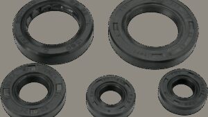 MOOSE OFFROAD Motor Oil Seals - Honda