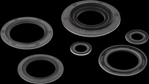 Shopping Cart, Shopping Cart