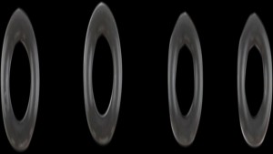 Shopping Cart, Shopping Cart