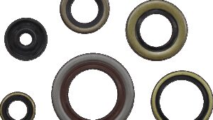 MOOSE OFFROAD Oil Seal Gasket Kit - Gas Gas/Husqvarna/KTM