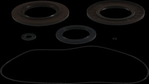 Shopping Cart, Shopping Cart