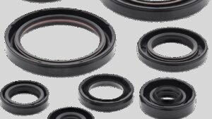 VERTEX Oil Seals - Honda
