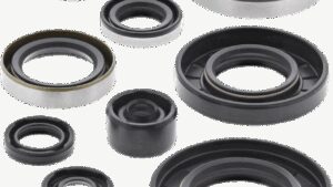 VERTEX Oil Seals - Kawasaki