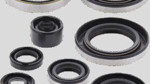 VERTEX Oil Seals - Kawasaki