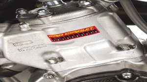 Shopping Cart, Shopping Cart