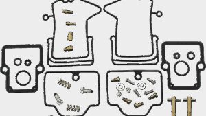 PARTS UNLIMITED Carburetor Repair Kit - Ski-Doo