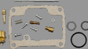 PARTS UNLIMITED Carburetor Repair Kit - Ski-Doo