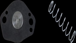 Shopping Cart, Shopping Cart