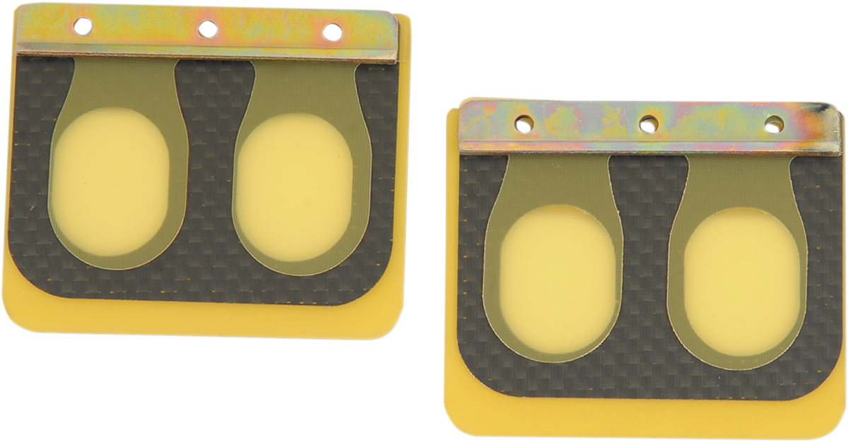 BOYESEN Replacement Pro Series Reed Set - RAD02G - Honda