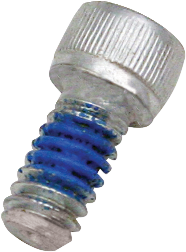 S&S CYCLE Replacement Air Cleaner Screw - Backplate - 1/4"-20 x 1/2"