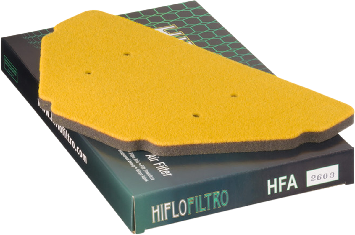 HIFLOFILTRO Replacement OE Air Filter - Kawasaki