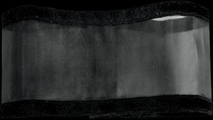 Shopping Cart, Shopping Cart