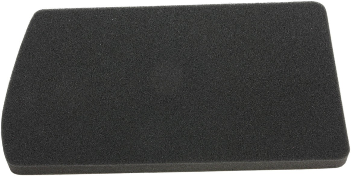 HIFLOFILTRO Replacement Air Filter - BMW