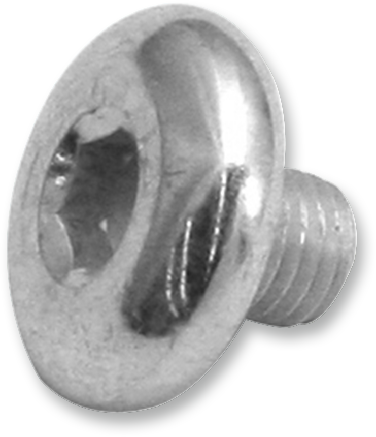 S&S CYCLE Replacement Air Cleaner Screw - Breather Screw - 5/16"