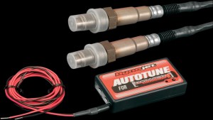 Shopping Cart, Shopping Cart