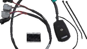 FI2000R Plug-In Fuel Processor - Touring '06