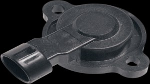 Shopping Cart, Shopping Cart