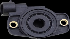 Shopping Cart, Shopping Cart