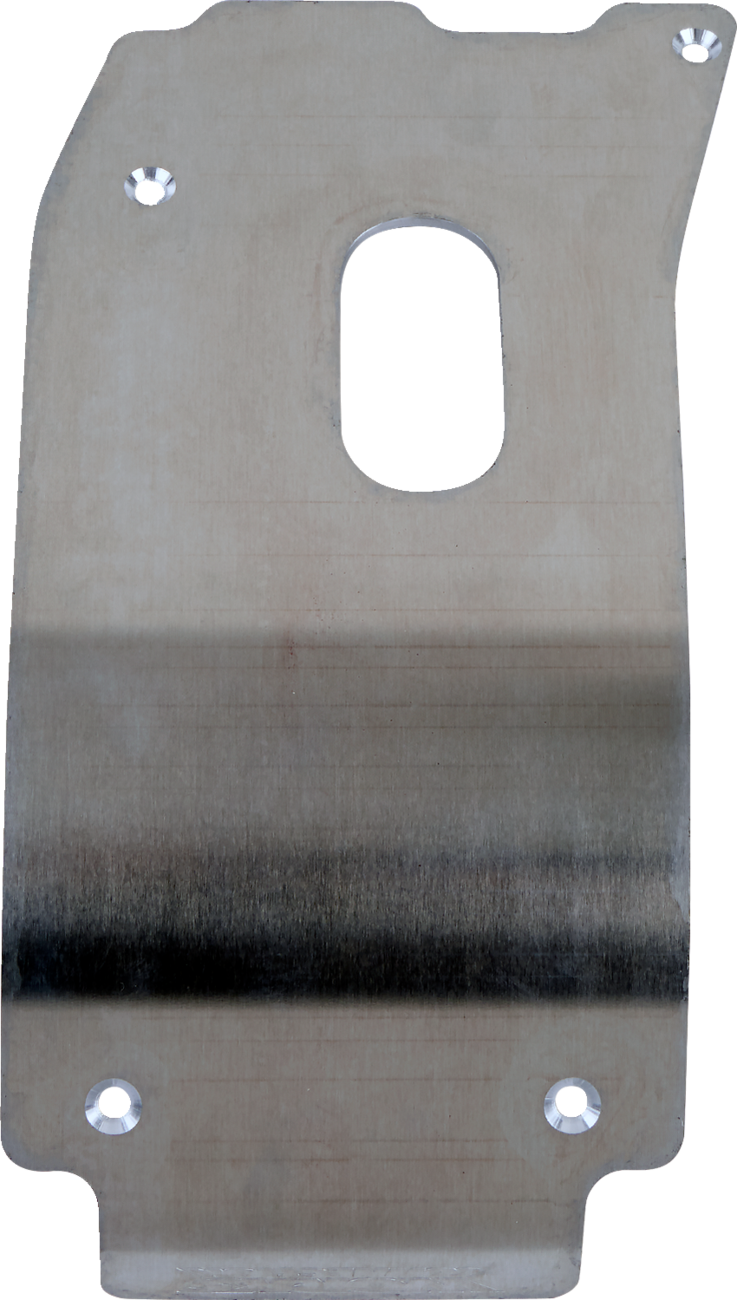 Harley Davidson oem Compact Fat Boy Style Passenger Backrest Pad #52300556A