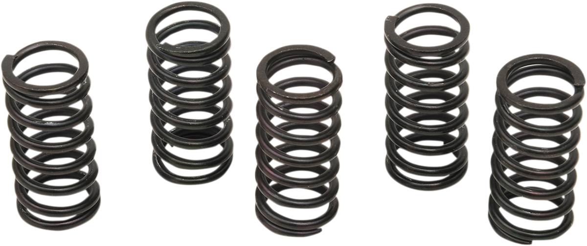 BARNETT Clutch Spring Kit