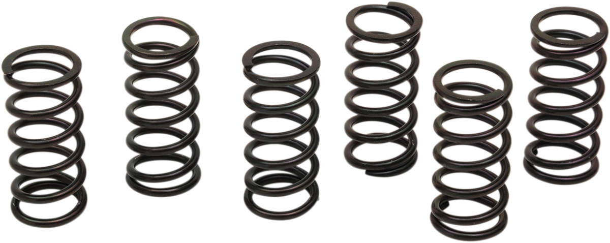 BARNETT Clutch Spring Kit