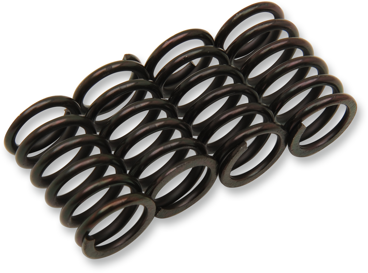 BARNETT Clutch Spring Kit