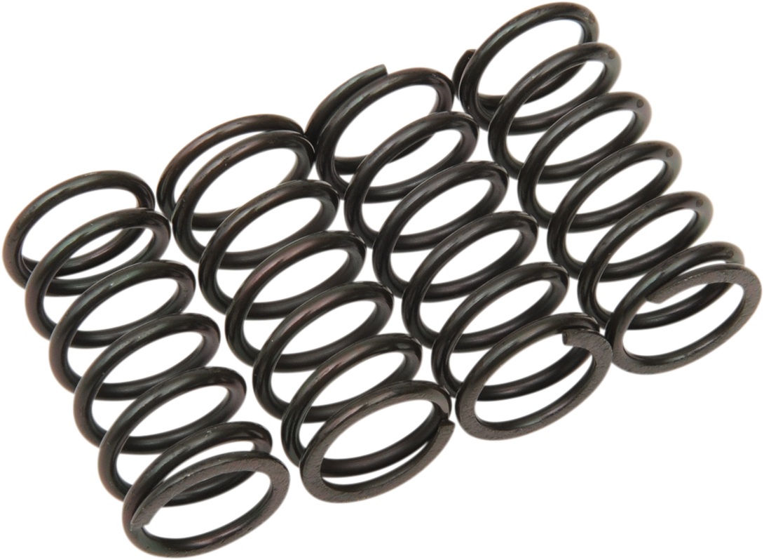 BARNETT Clutch Spring Kit