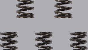 BARNETT Clutch Spring Kit