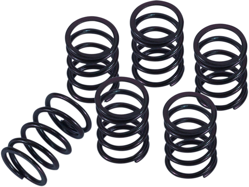 BARNETT Clutch Spring Kit